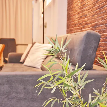 Apartment Superior Grey *